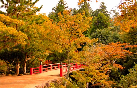 紅葉谷公園 イメージ